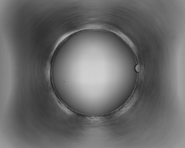 X0000114230862200910161609