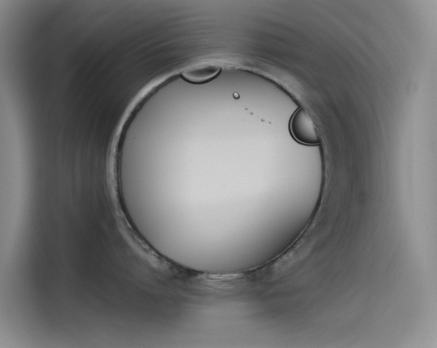 X0000114230864200910161609