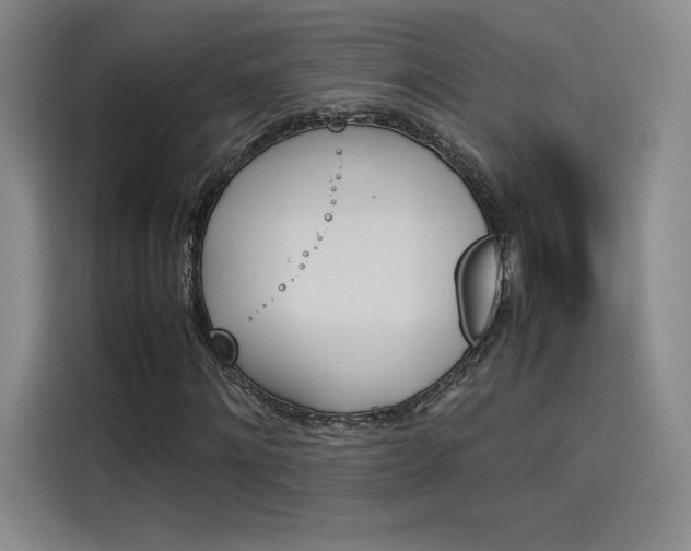 X0000114230868200910161609
