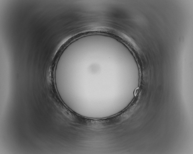 X0000114230875200910161609