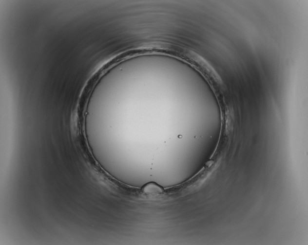 X0000114230876200910161609