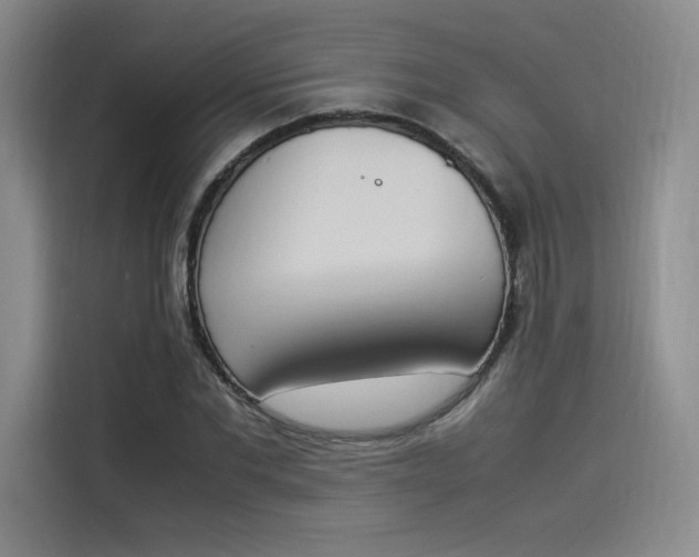 X0000114230877200910161609