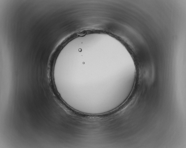 X0000114230878200910161608