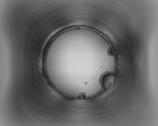 X0000114230880200910161608