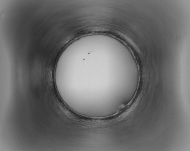 X0000114230881200910161608
