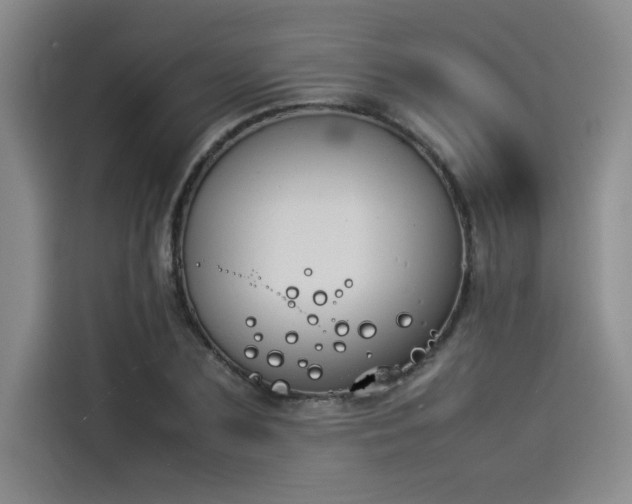 X0000114230883200910161608