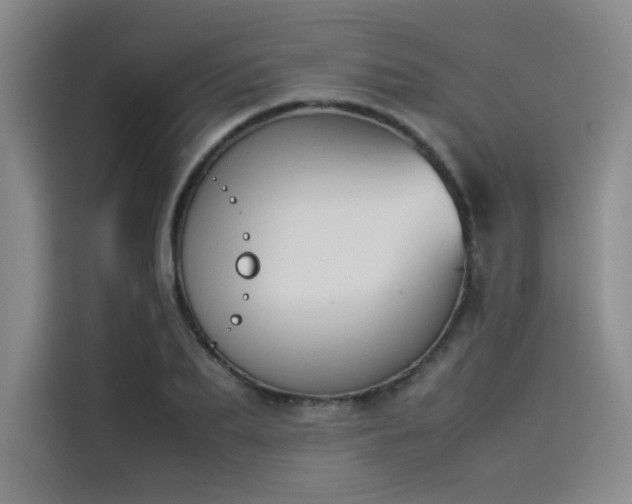 X0000114230887200910161608