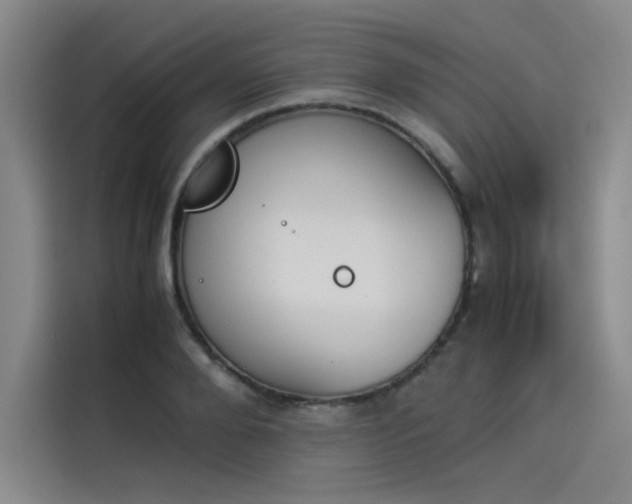 X0000114230888200910161608