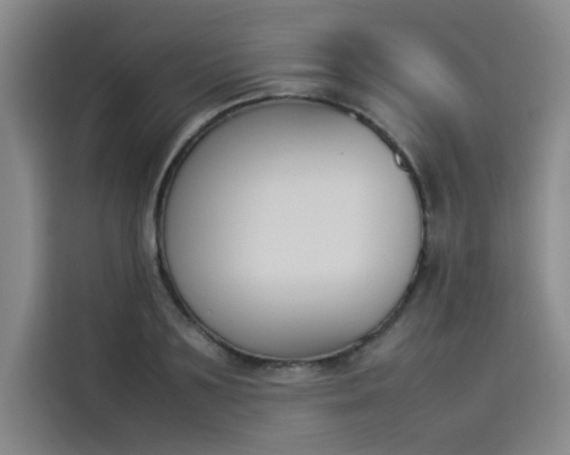 X0000114230891200910161608