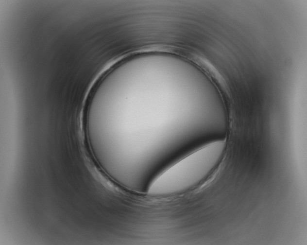 X0000114230892200910161608