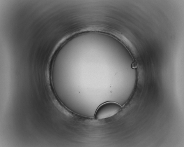 X0000114230896200910161608