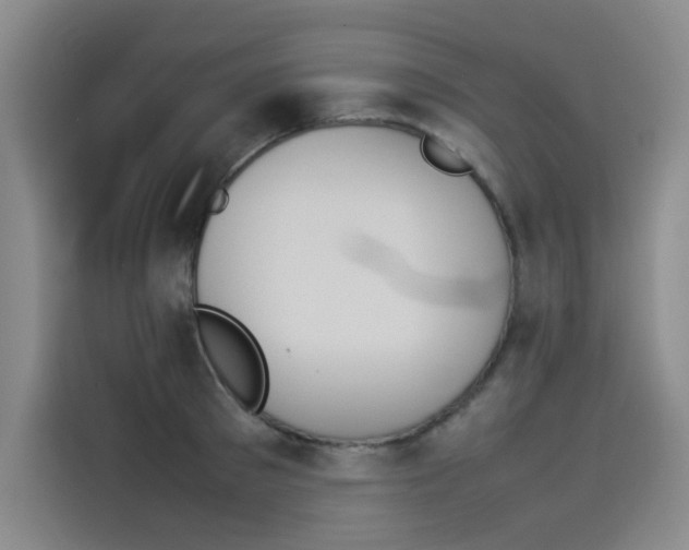 X0000114230897200910161608