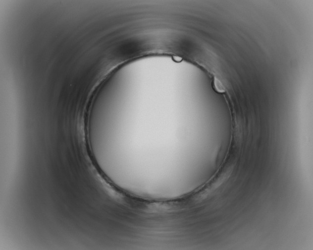 X0000114230898200910161608