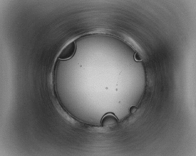 X0000114230900200910161608