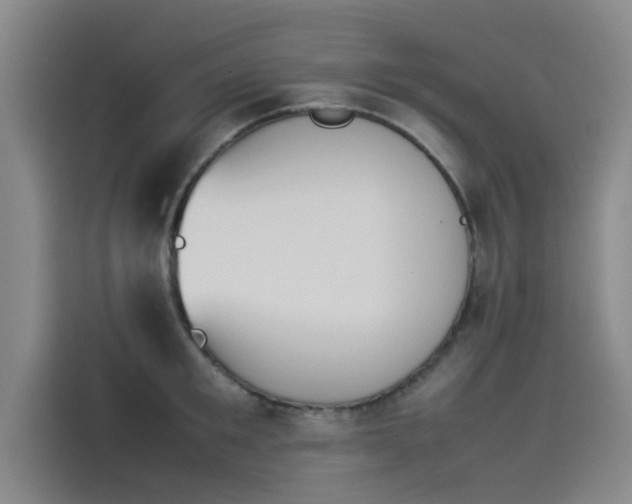 X0000114230901200910161608