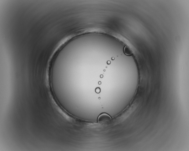 X0000114230902200910161608