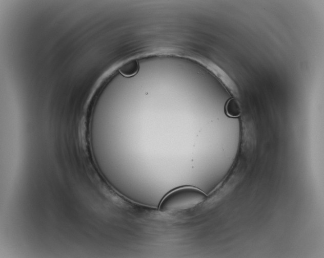 X0000114230904200910161608