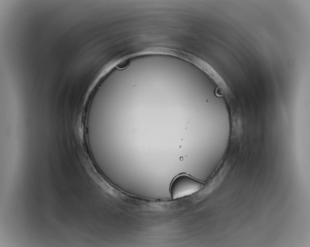 X0000114230908200910161608