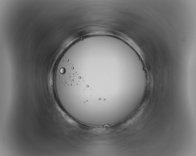 X0000114230909200910161608