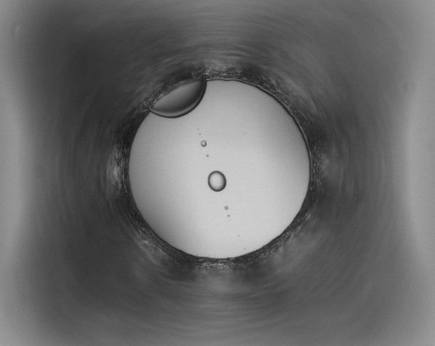 X0000114230914200910161607