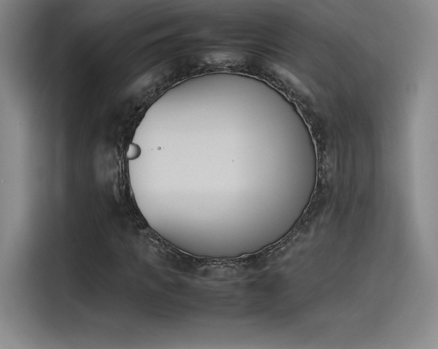X0000114230917200910161607