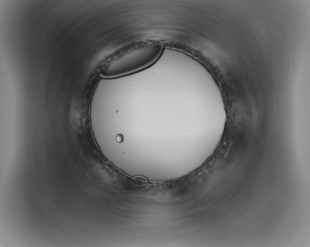 X0000114230920200910161607