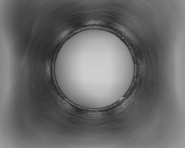X0000114230921200910161607