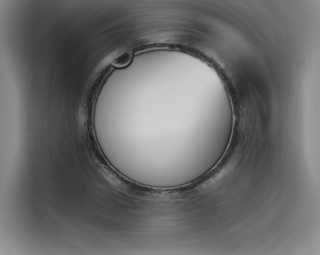 X0000114230922200910161607