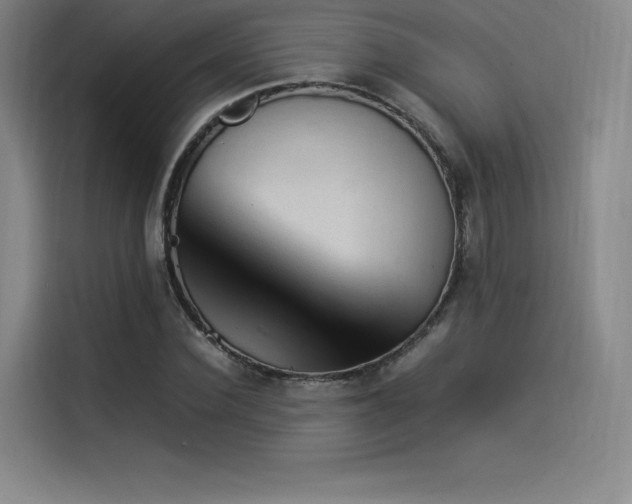 X0000114230924200910161608