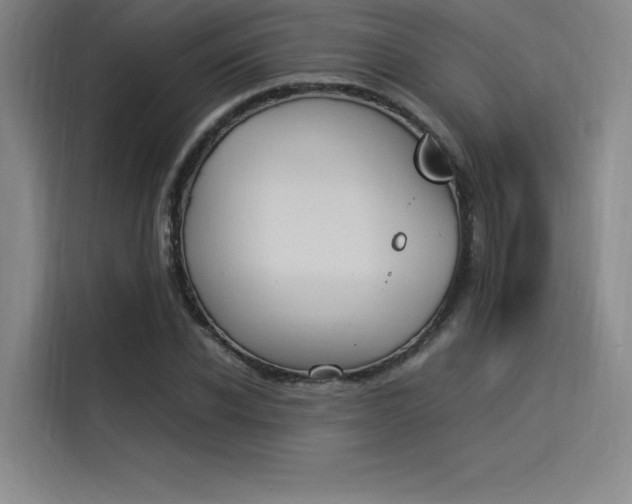 X0000114230926200910161608