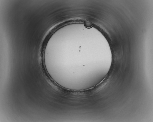 X0000114230927200910161608