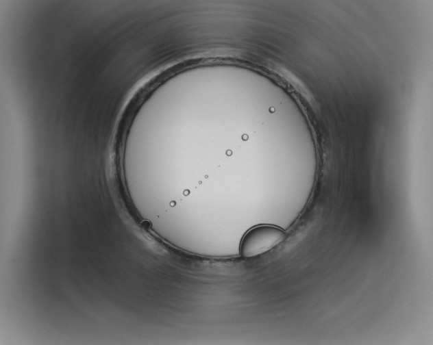 X0000114230928200910161608