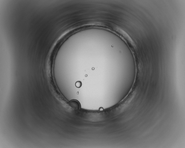X0000114230931200910161608