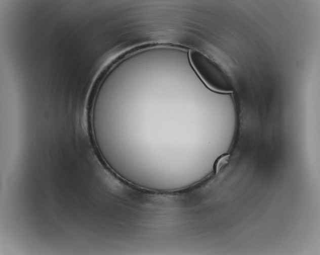 X0000114230932200910161608