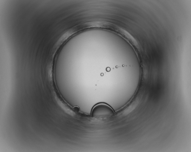 X0000114230938200910161608
