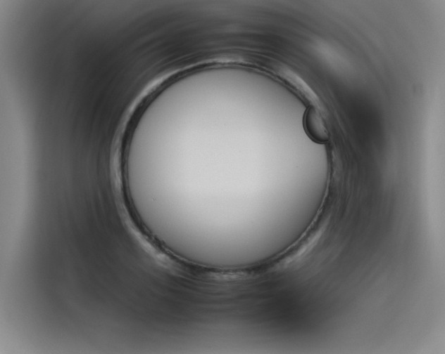 X0000114230939200910161608
