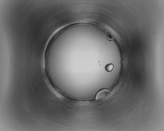 X0000114230940200910161608