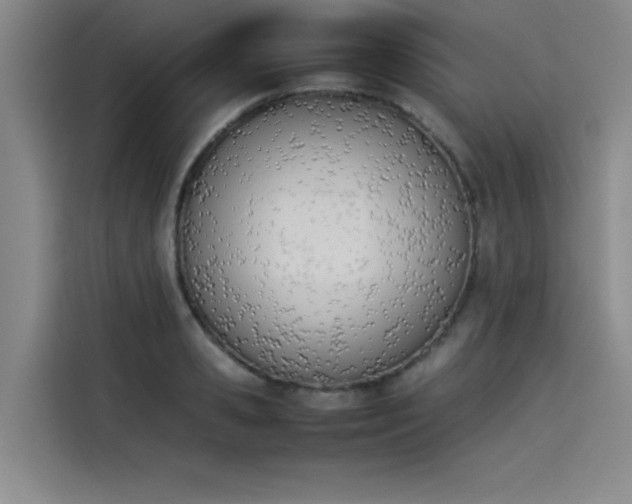 X0000114230941200910161608