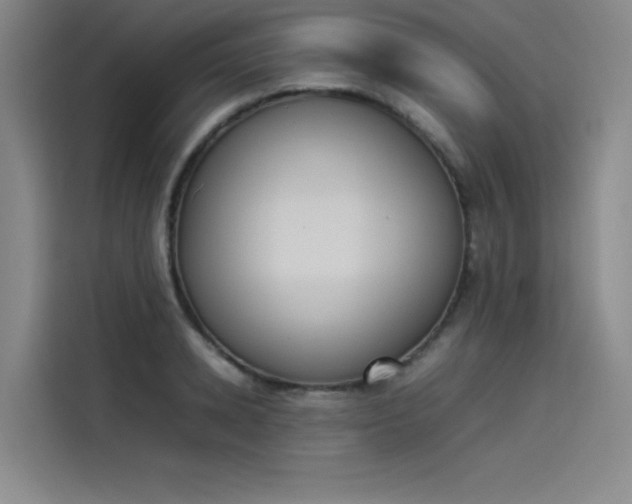 X0000114230942200910161608