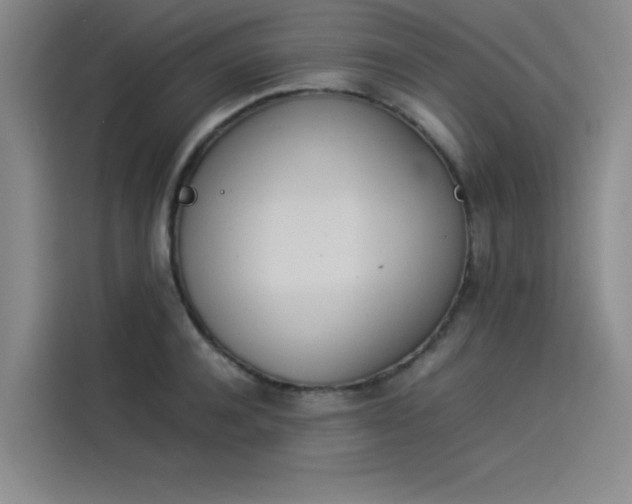 X0000114230944200910161608