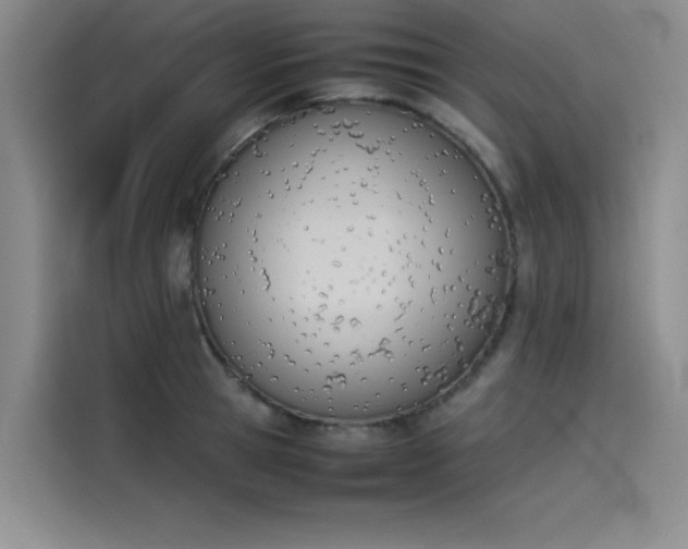 X0000114230945200910161608