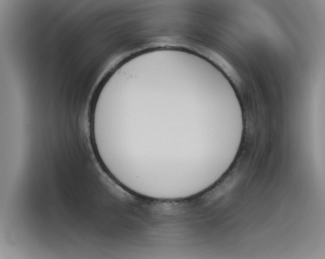 X0000114230950200910161608