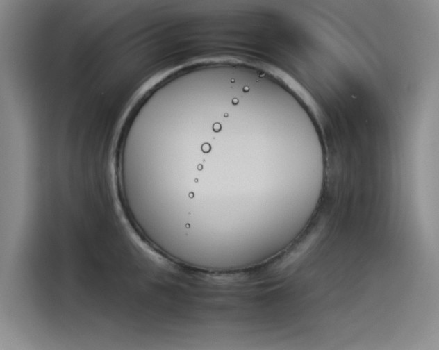 X0000114230951200910161608