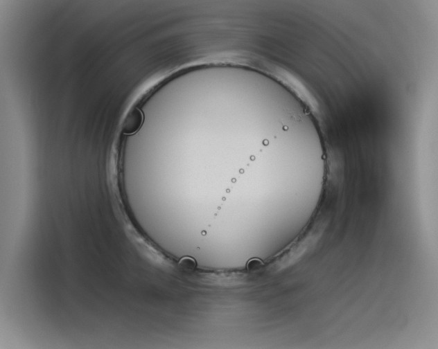 X0000114230952200910161608