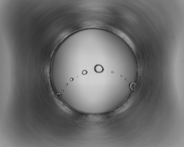X0000114230954200910161608