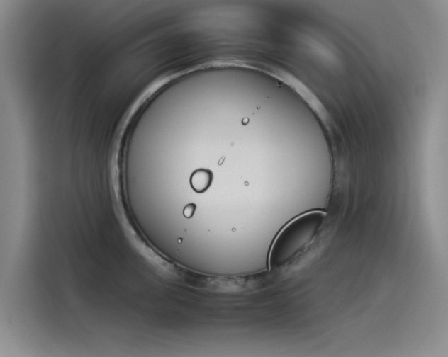 X0000114230955200910161608