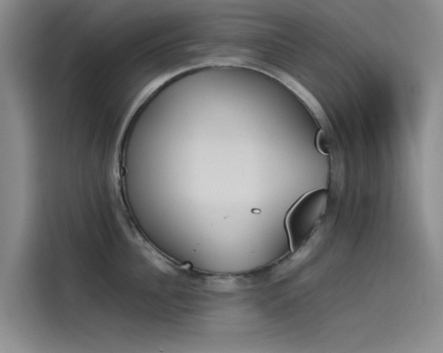 X0000114230956200910161608