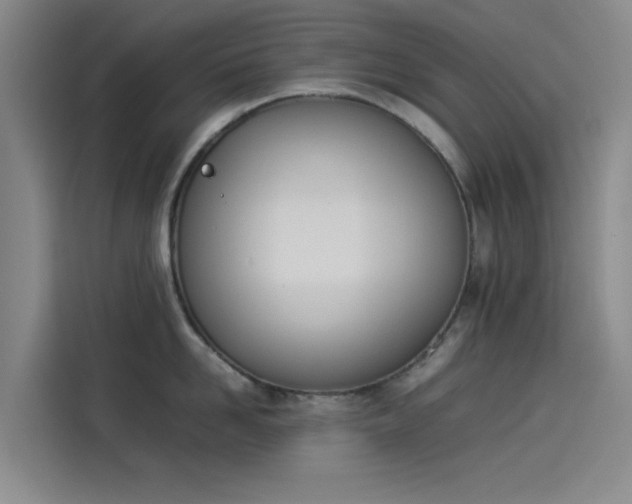 X0000114230958200910161608