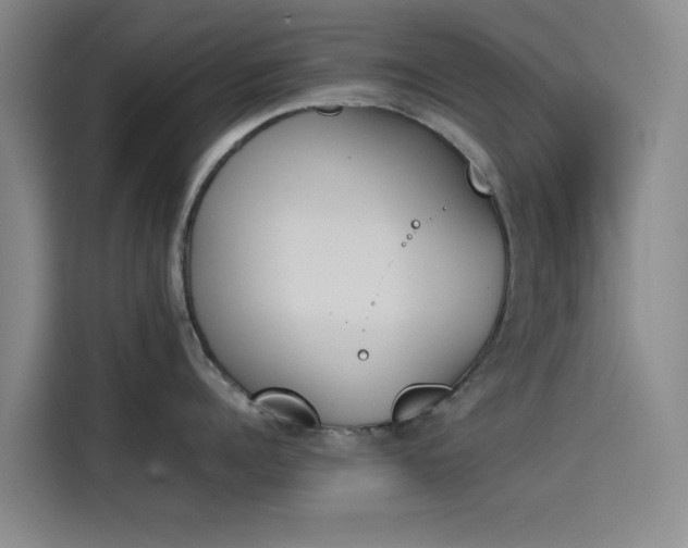 X0000114230960200910161608