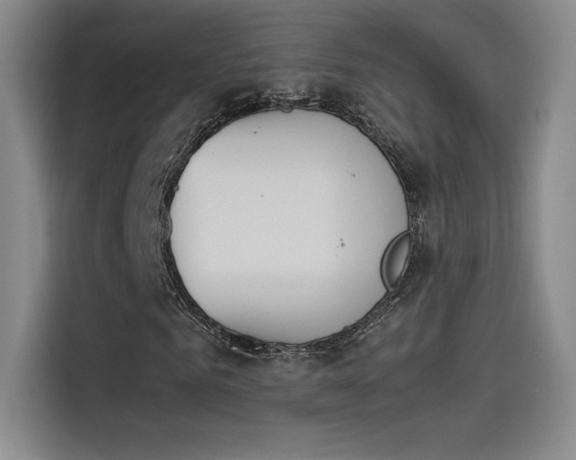 X0000114230961200910161607